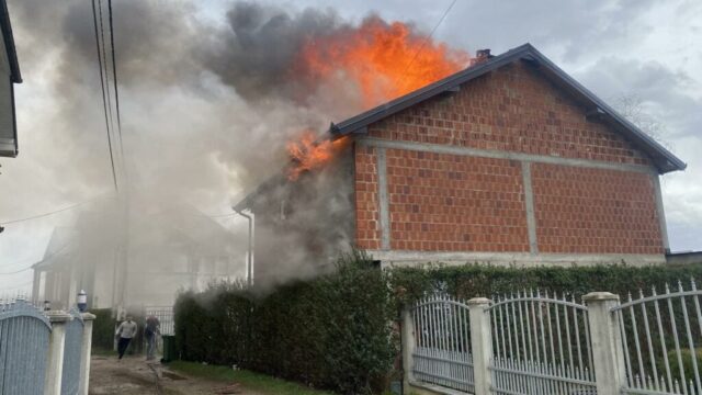 Zjarrfikesit-e-Gjakoves-1-1024x576