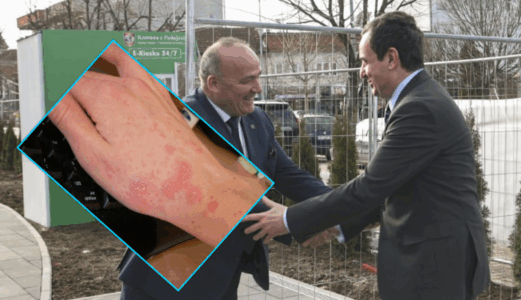 bulliq-zhuga-781x450-1-521x300 (1)