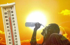 QKMF apelon për kujdes nga i nxehti i madh, jep këshilla për mbrojtje