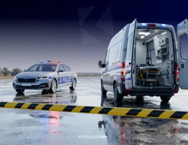 Policia-e-Kosov-s-d650e411