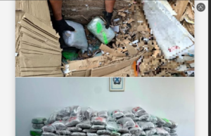 Një shtetas i Kosovës arrestohet në Selanik, sekuestrohen 324 kilogramë kanabis