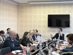 PDK kërkon strategji institucionale për çështjen e Hagës në Komisionin për Punë të Jashtme